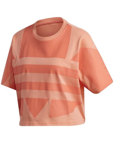 adidas T-Shirt Rose LRG Logo Tee Rose 38FR - Orange