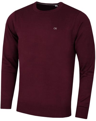 Calvin Klein French Burgundy - Lila