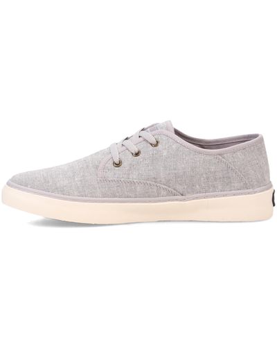 Ben Sherman Camden Sneaker - Gray