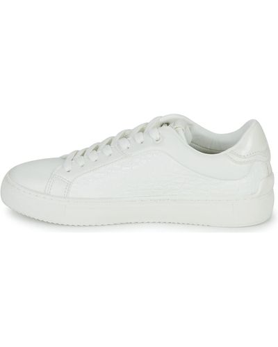 Pepe Jeans Adams Match Trainer - White