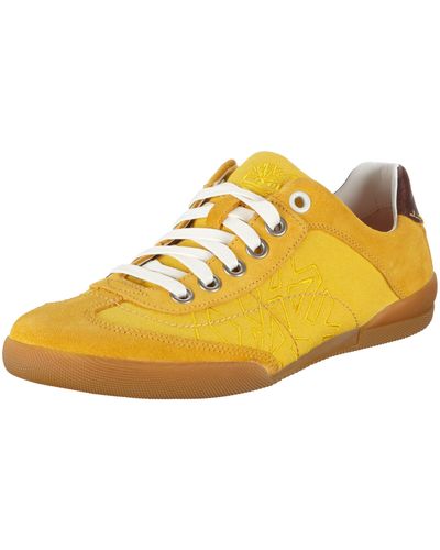 Timberland City Adventure Split Cup Sole F/L Ox Sneaker Gelb/Yellow Canvas/Suede 43 EU