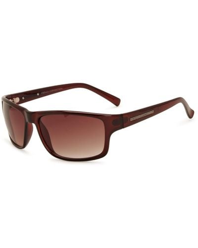 French Connection Fcu592 Rectangle Sunglasses Brown One Size