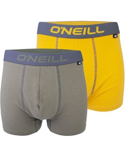 O'neill Sportswear | Boxer-Short | Basic-Line | 2er Set | für jeden Tag - Grau