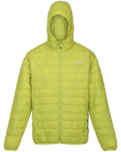 Regatta Hillpack Steppjacke für mit Kapuze - Grün