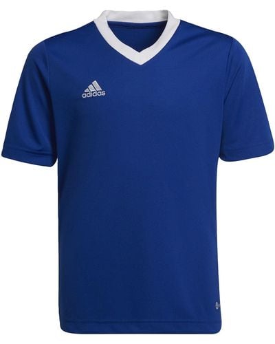 adidas Entrada 22 Jersey T-Shirt - Azul