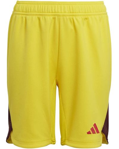 adidas Shorts T23 P Gk Sho Y - Geel