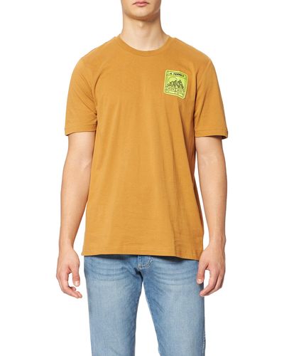 adidas Tx Patc Mtn Tee Graphic T-shirt Voor - Oranje