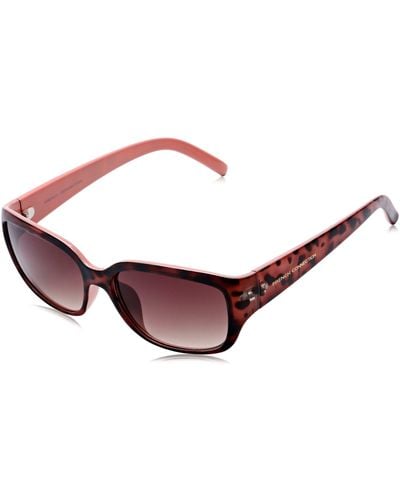 French Connection Ladies Small Plastic Sunglasses - Brown