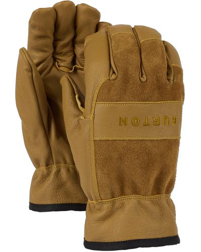 Burton Standard Lifty Handschuhe - Grün