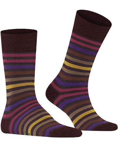 FALKE Socken Tinted Stripe Wolle Baumwolle gemustert 1 Paar - Lila
