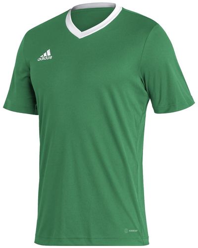 adidas Entrada 22 Voetbalshirt - Groen