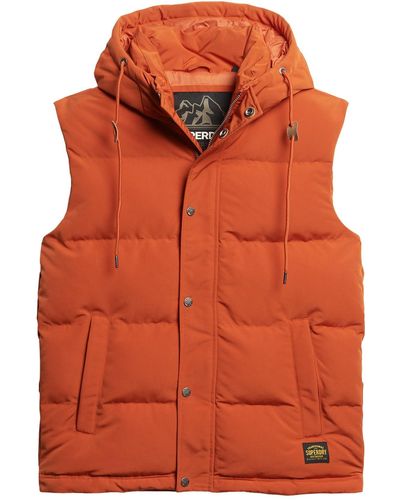 Superdry Hooded Vest Jacket - Orange