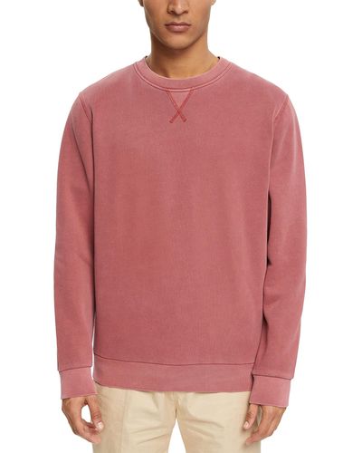 Esprit Effen Sweatshirt In Regular Fit - Roze