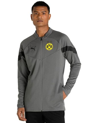 PUMA Borussia Dortmund Trainingsjacke grau/gelb