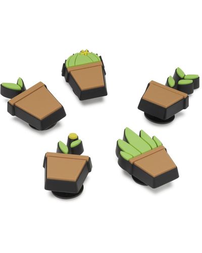 Crocs™ Topfpflanzen - Grün