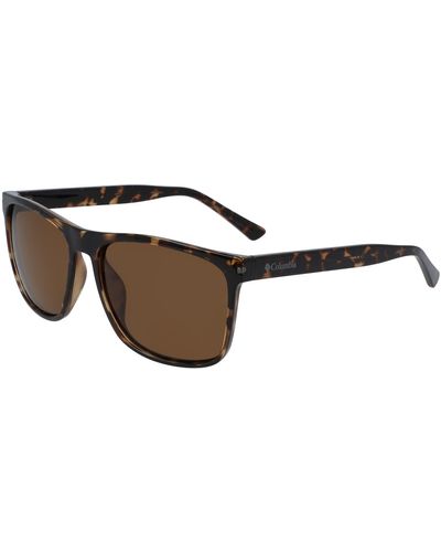 Columbia Shiny Tortoise With Brown - Black