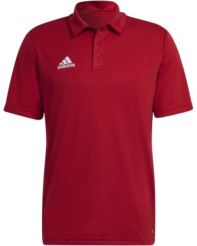 adidas Ent22 Polo Shirt - Rood