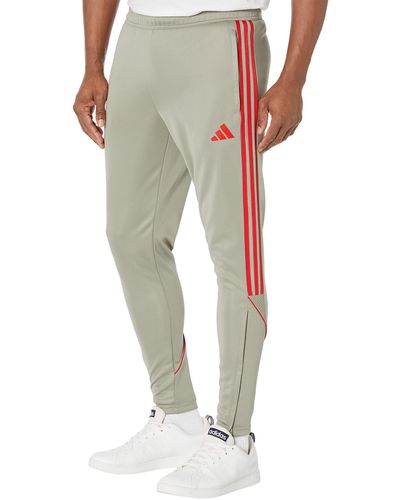 adidas Tiro Pants - Neutro