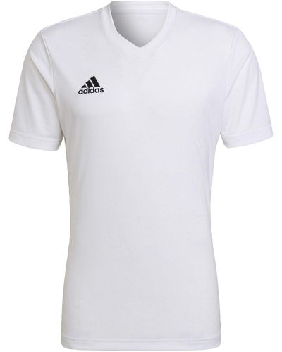 adidas , Entrada22, Voetbal T-shirt, Wit, M,