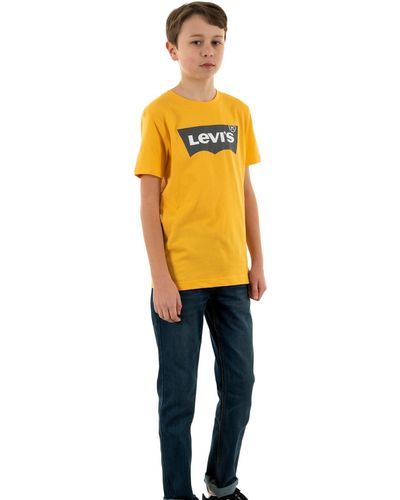 Levi's Lvb Batwing Tee Camiseta - Metálico