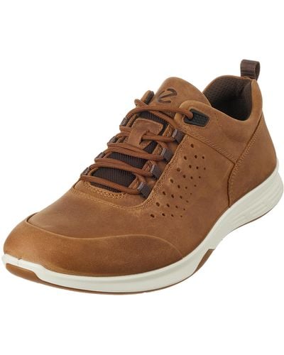 Ecco Exceed Sneaker Hiking Shoe - Brown