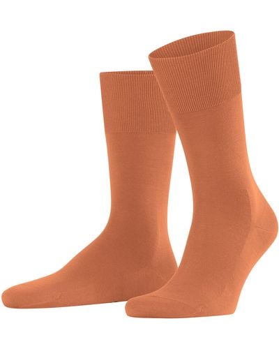 FALKE Socken Climate Wool Nachhaltiges Lyocell Wolle einfarbig 1 Paar - Braun