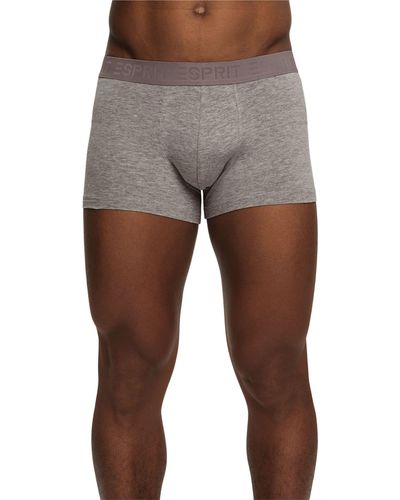 Esprit SUS-Pantaloncini SLG Intimo - Grigio