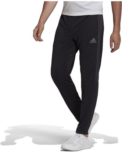 adidas Sereno Pant Hose - Schwarz