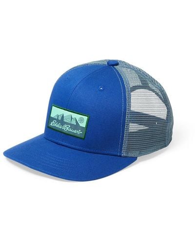Eddie Bauer Seamoss Graphic Logo Hat - Blue
