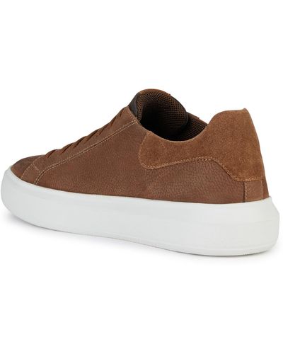 Geox U Deiven D Trainer - Brown