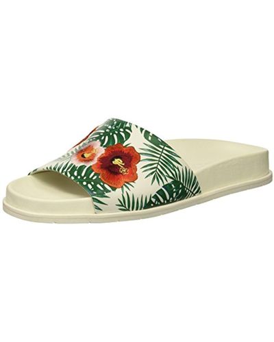 Kenneth Cole Xenia Palm Print Embroidered Pool Slide Sandal, Green Embroidery, 10 M Us