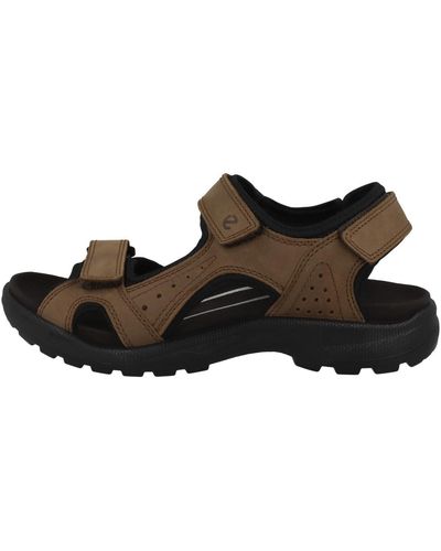 Ecco Onroads M 3s Shoes - Brown