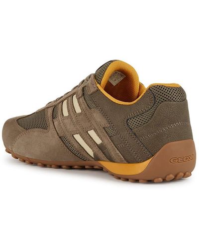 Geox Uomo Snake A Trainer - Brown