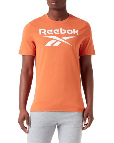 Reebok Logo Identity Big T-Shirt - Arancione