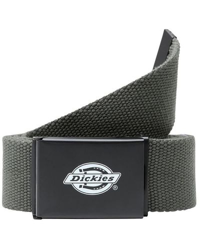 Dickies Gürtel Streetwear Belt Orcutt - Mehrfarbig