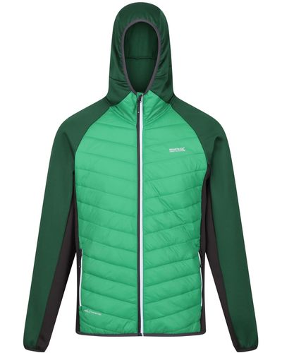 Regatta S Andresonviii Hybrid Padded Hooded Jacket - Green
