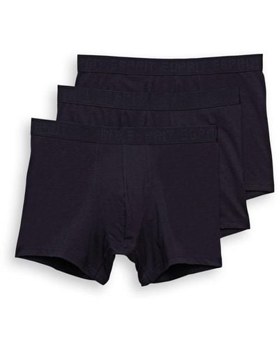 Esprit Sus 3shorts Underwear - Blue