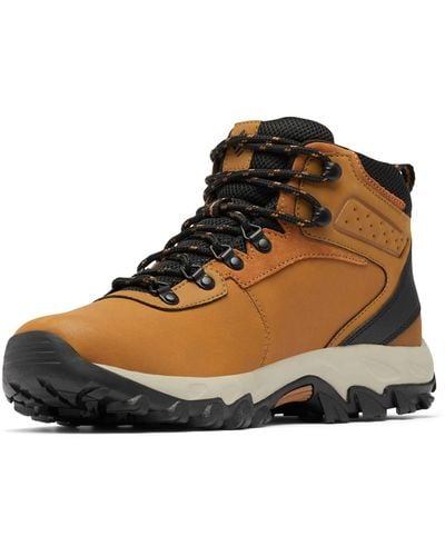 Columbia Newton Ridge Plus Ii Waterproof Hiking Shoes - Brown