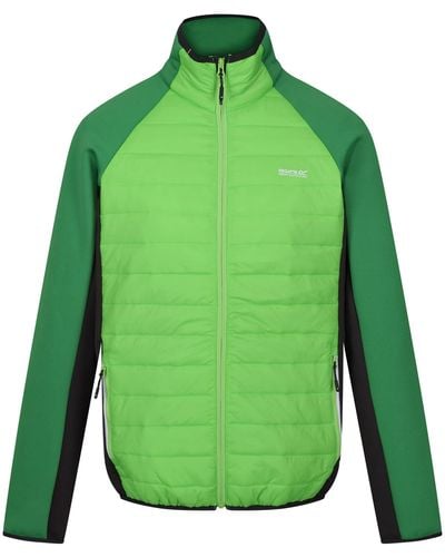 Regatta Giacca Ibrida Imbottita con Zip Intera Cappotto - Verde