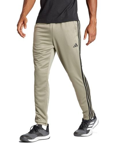 adidas Train Essentials 3-Stripes Training Pants Pantalones - Gris