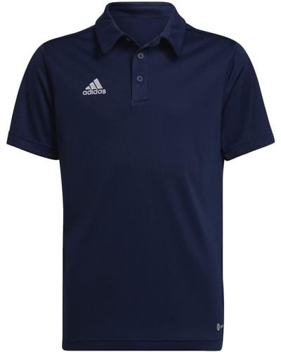 adidas ENT22 Polo Shirt - Azul