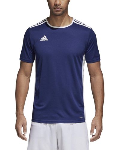 adidas Voetbal Entrada 18 Jersey Shirt - Blauw