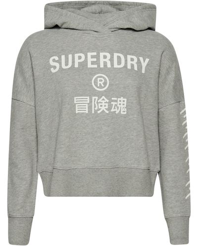 Superdry Sweatshirt (1-tlg) Plain/ohne Details - Grau