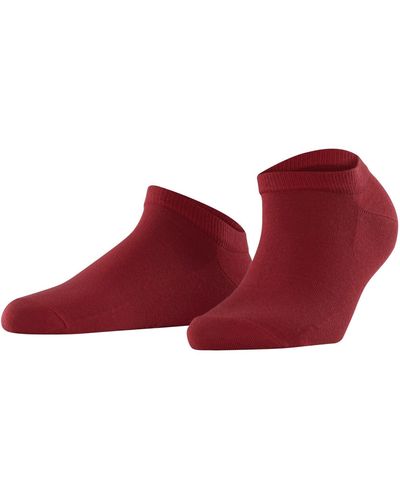 FALKE Active Breeze Nachhaltiges Lyocell verstärkte Sneakersocken ohne Muster atmungsaktiv umweltfreundlich 1 Paar Socken - Rot
