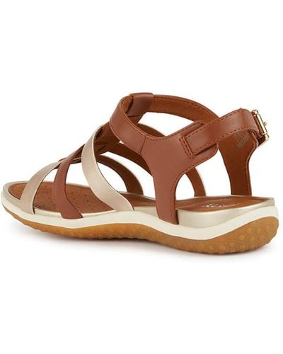 Geox Flat sandals - Marrón