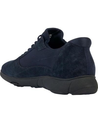 Geox Sneaker Nebula Easy IN - Blu