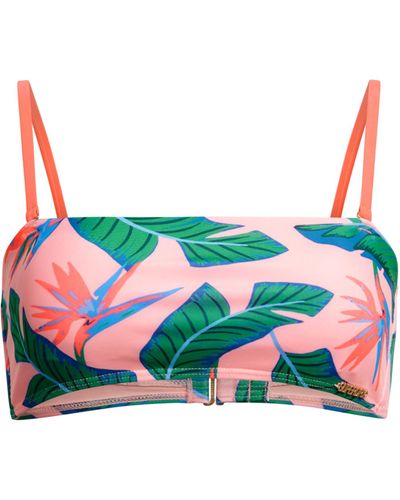 Superdry Bandeau-Bikinioberteil mit tropischem Print Malibu Pink Paradise 38 - Grün