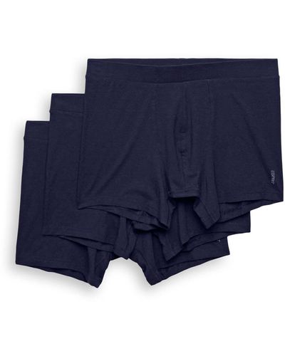 Esprit Multipack -Shorts mit langem Bein aus Baumwollmix - Blau