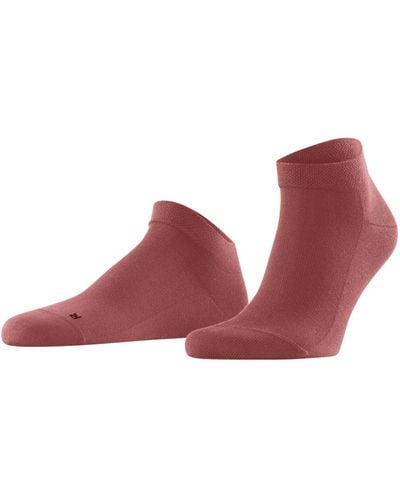 FALKE S Sensitive London M Cotton With Soft Tops 1 Pair Trainer Socks - Purple