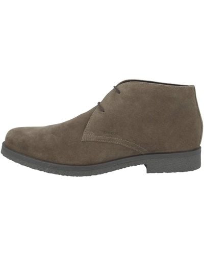 Geox Uomo Claudio A Shoes - Brown